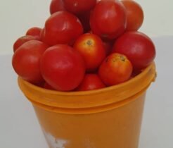 Tomatoes – Paint