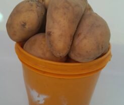 Irish potatoes – Paint Options