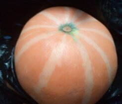 Pumpkin -1Kg