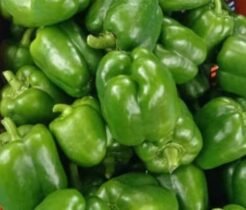 Bell Pepper – Green – 1kg