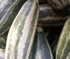 zucchini -1kg