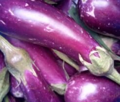 Eggplant