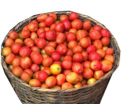 Tomatoes Basket Options