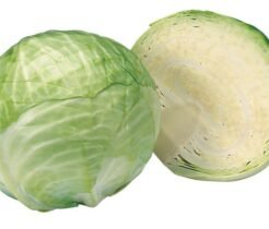 Cabbage