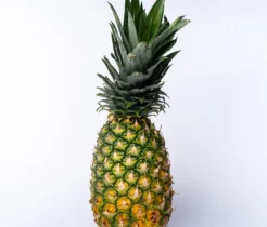 Pineapple -Native