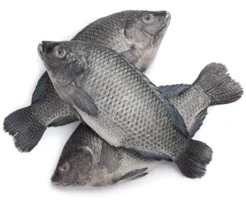 Tilapia Fish- 1kg (Frozen)