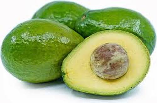 Avocado (4pcs)