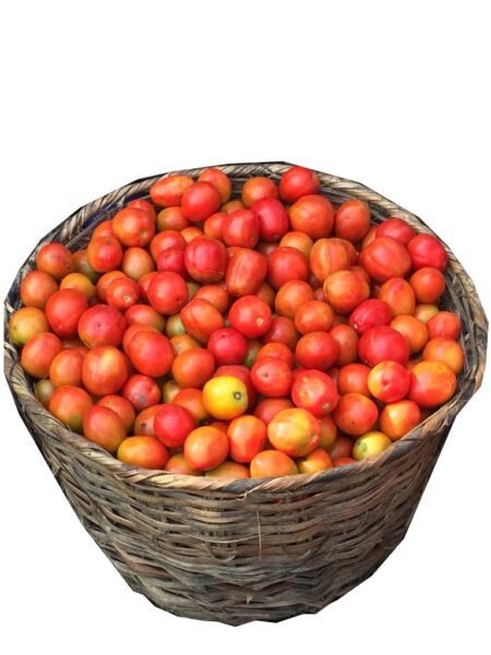 Tomatoes (basket)- Sharing for 4 People