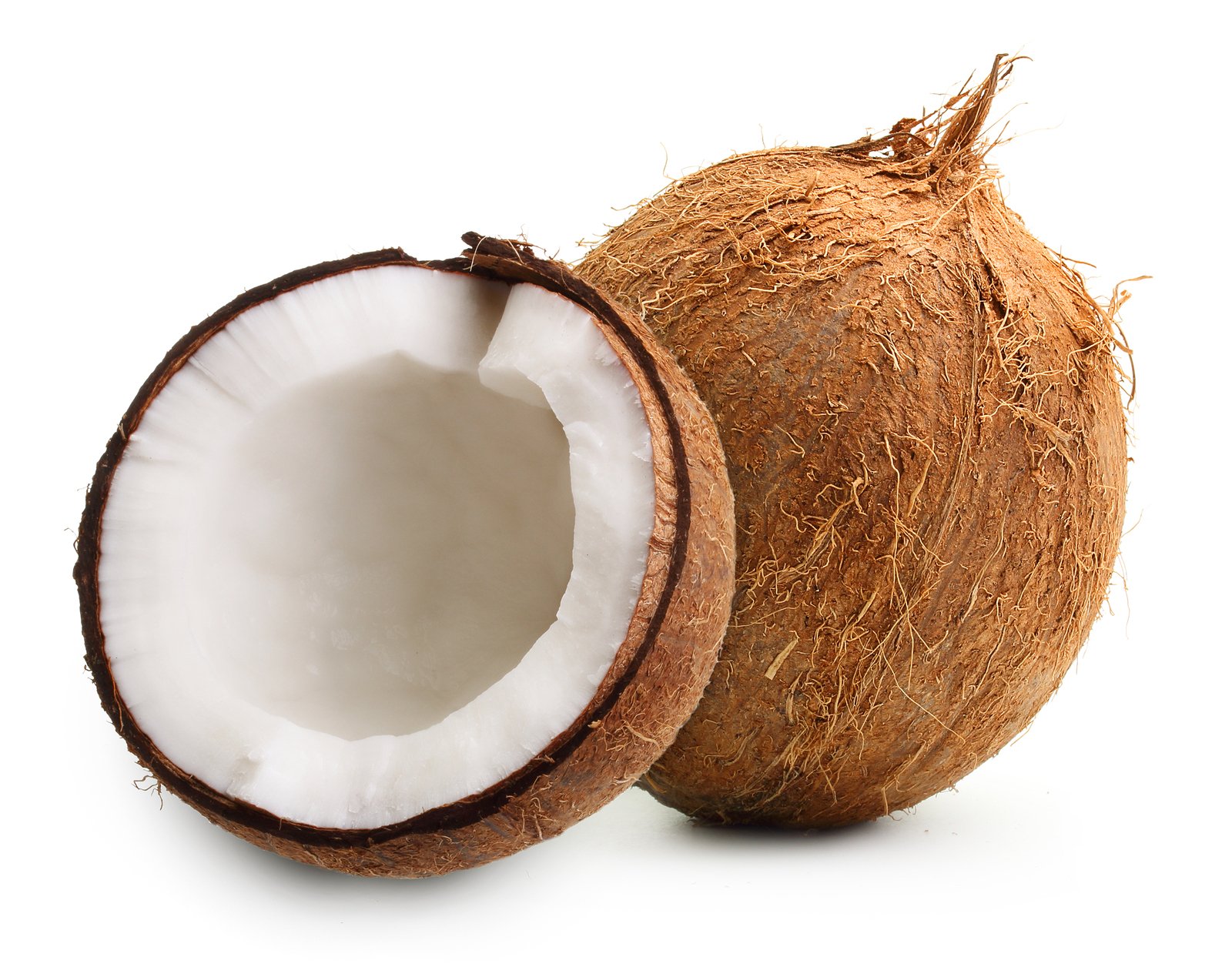Coconut (12pcs)