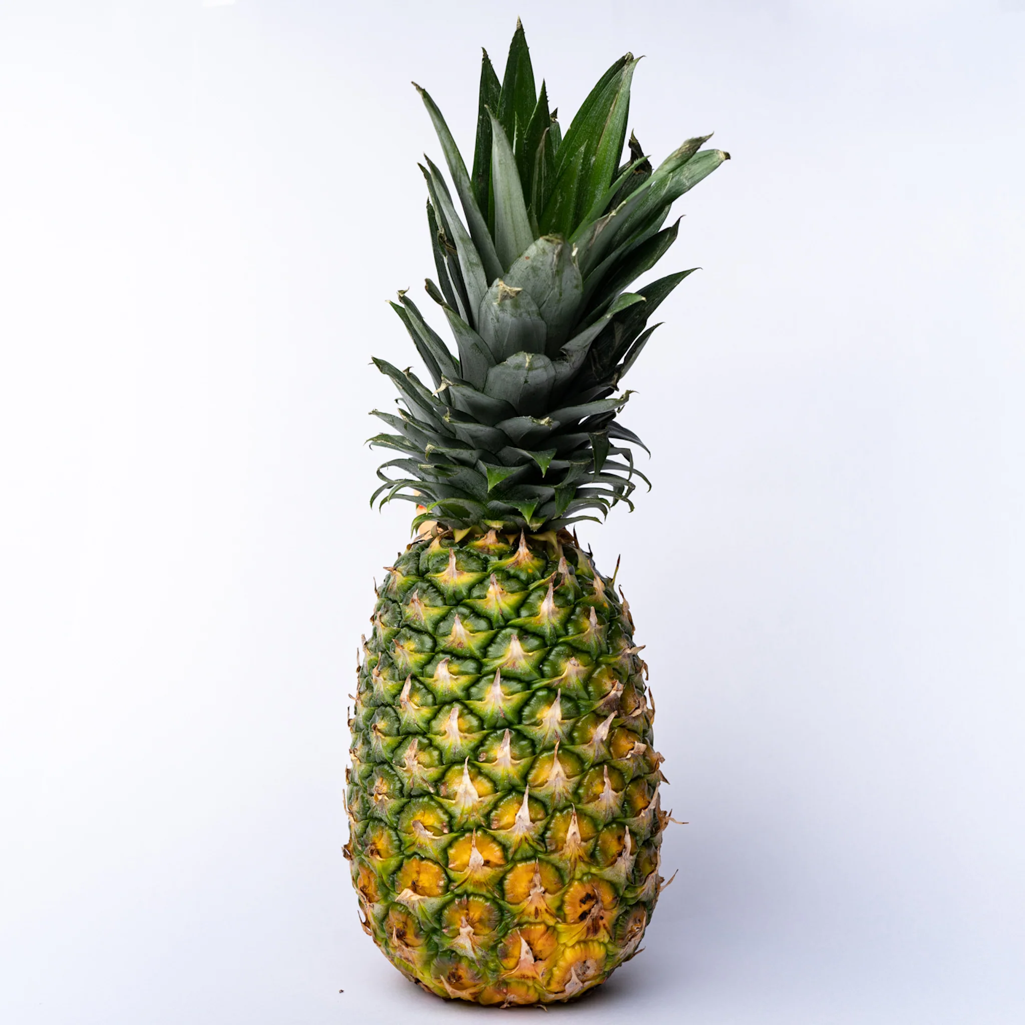 Native Pineapple (12pcs)