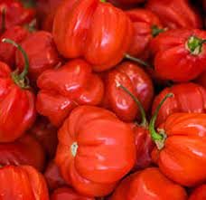 Pepper fresh (basket) Sharing between 6 people