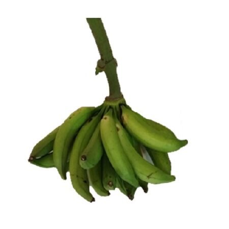 Unripe plantain flour (Elubo) paint