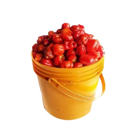 Fresh Tomatoes & peppers